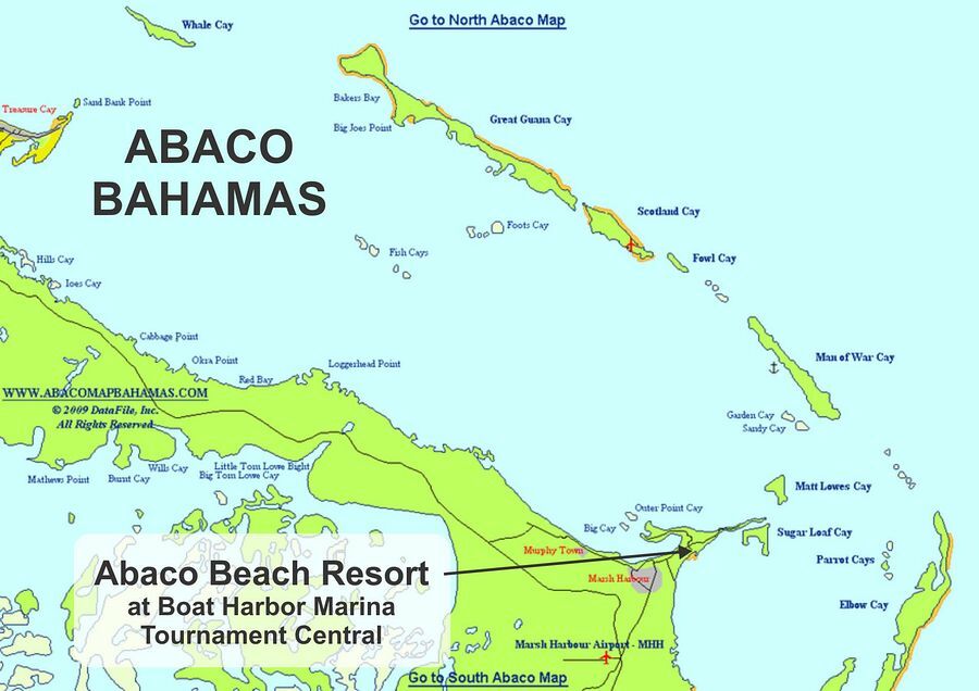 Click to See Next Image